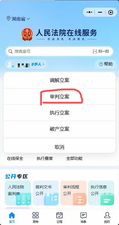 图 1：进入审判立案